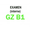 Examen Goethe Zertifikat B1 (interne) module: Lesen