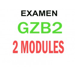 Examen Goethe Zertifikat B2 (2 modules)
