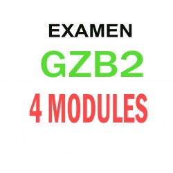 Examen Goethe Zertifikat B2 (4 modules)