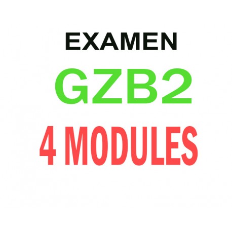Examen Goethe Zertifikat B2 (4 modules)