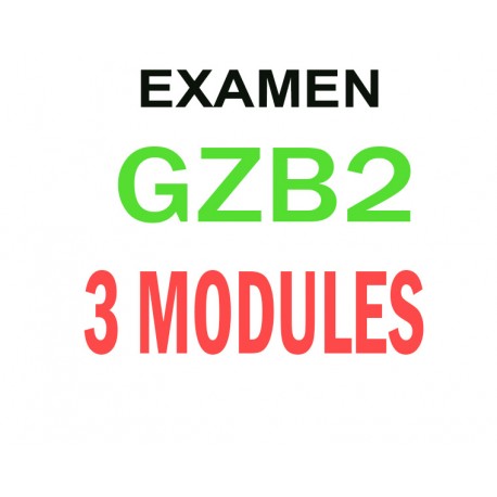 Examen Goethe Zertifikat B1 (3 modules)