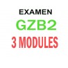Examen Goethe Zertifikat B1 (3 modules)