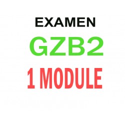 Examen Goethe Zertifikat B2  (1 module)