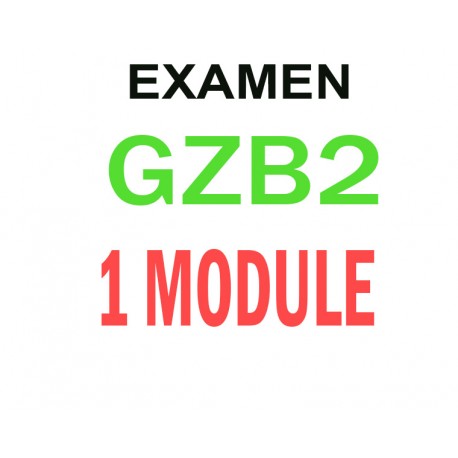 Examen Goethe Zertifikat B2  (1 module)
