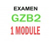 Examen Goethe Zertifikat B2  (1 module)