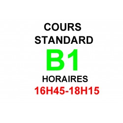 Cours d'allemand standard  B1 (a) interne