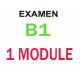 Examen Goethe Zertifikat B1 (1 module)
