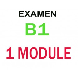 Examen Goethe Zertifikat B1  16 mai  2024  (1 module)