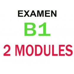 Examen Goethe Zertifikat B1   16 mai  2024  (2 modules)