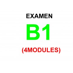 Examen Goethe Zertifikat B1  16 mai  2024  (4 modules)