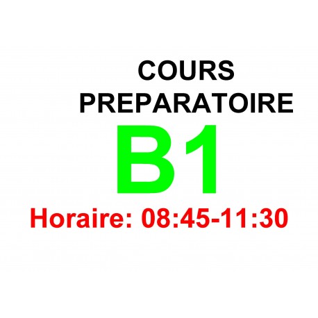 Cours de préparation à l’examen Goethe Zertifikat  B1 (PVK B1 c bis ) mars 2024
