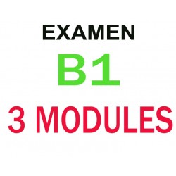 Examen Goethe Zertifikat B1 20  juillet 2024  (3 modules)