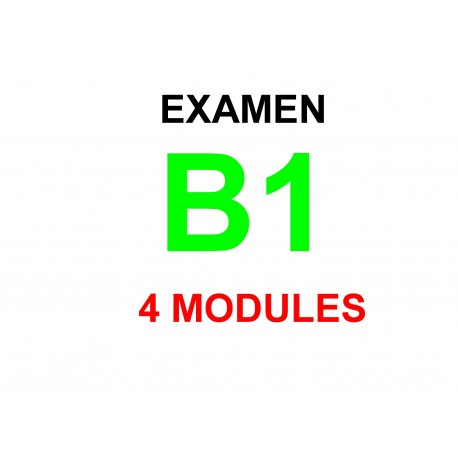 Examen Goethe Zertifikat B1 20  juillet 2024 (4 modules)