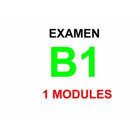 Examen Goethe Zertifikat B1 20 février 2024  (1 module)
