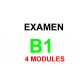 Examen Goethe Zertifikat B1 05 décembre 2023 (4 modules)