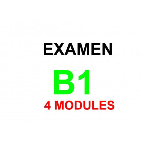 Examen Goethe Zertifikat B1 05 décembre 2023 (4 modules)