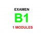 Examen Goethe Zertifikat B1 20 février 2024  (1 module)