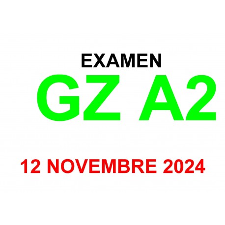 Examen Goethe Zertifikat A2 (12 novembre 2024)