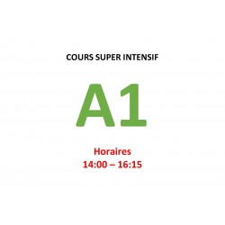 Cours super intensif d’Allemand Niveau A1 (a) janvier 2025