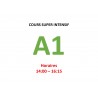 Cours super intensif d’Allemand Niveau A1 (a) janvier 2025