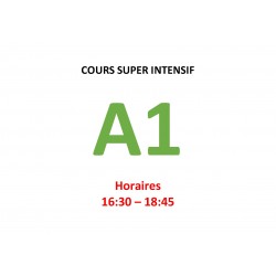 Cours super intensif d’Allemand Niveau A1 (a)  bis janvier 2025