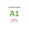 Cours super intensif d’Allemand Niveau A1 (a)  bis janvier 2025