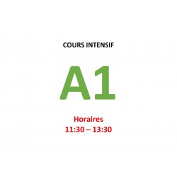 Cours  intensif d’Allemand Niveau A1 (b)  janvier 2025