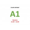 Cours  intensif d’Allemand Niveau A1 (b)  janvier 2025