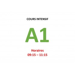 Cours  intensif d’Allemand Niveau A1 (c) janvier 2025