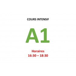 Cours intensif d’Allemand Niveau A1 (a) janvier   2025