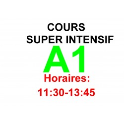 Cours super intensif d’Allemand Niveau A1 (b) janvier 2025