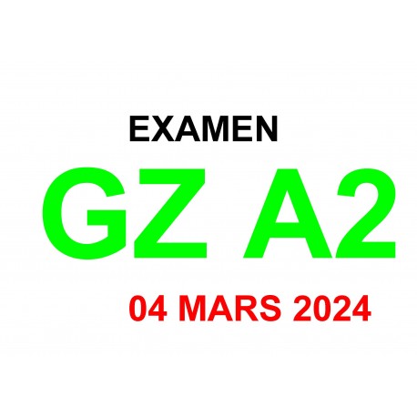 Examen Goethe Zertifikat A2 ( 04 Mars 2025)