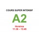 Cours super intensif d’Allemand Niveau A2 (b) janvier interne  2025