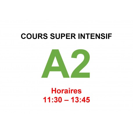 Cours super intensif d’Allemand Niveau A2 (b) janvier interne  2025