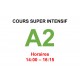 Cours super intensif d’Allemand Niveau A2 (b)  ter janvier interne  2025