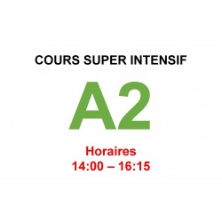 Cours super intensif d’Allemand Niveau A2 (b)  ter janvier interne  2025