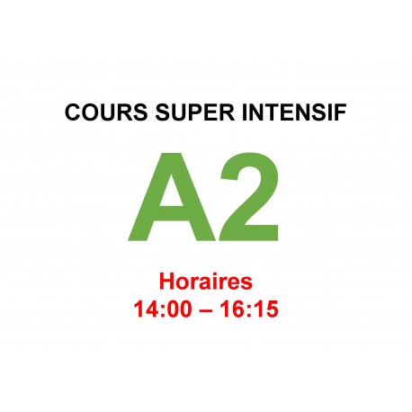 Cours super intensif d’Allemand Niveau A2 (b)  ter janvier interne  2025
