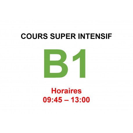Cours super intensif d’Allemand Niveau B1 (c) interne janvier 2025
