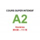 Cours super intensif d’Allemand Niveau A2 (c) janvier interne  2025