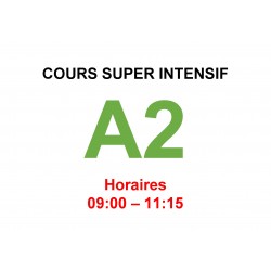 Cours super intensif d’Allemand Niveau A2 (c) janvier interne  2025